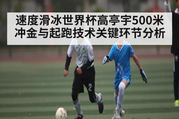 速度滑冰世界杯高亭宇500米冲金与起跑技术关键环节分析